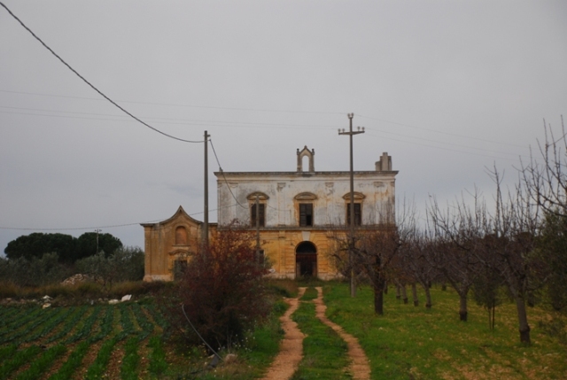 Clicca qui per vedere l'immagine in dettaglio